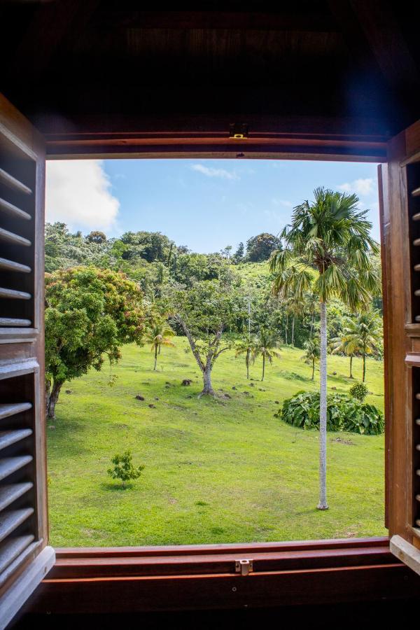 Jardin Malanga Hotel Basse-Terre Kültér fotó