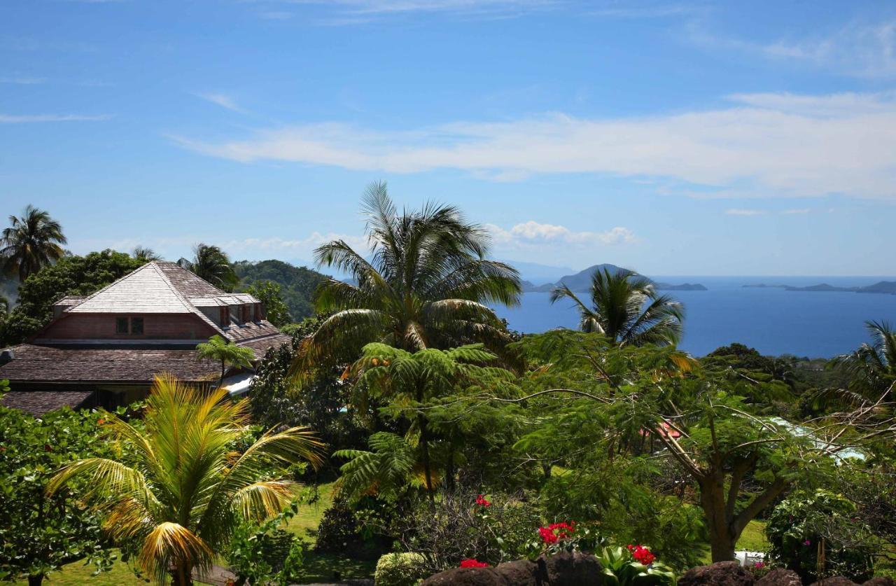 Jardin Malanga Hotel Basse-Terre Kültér fotó