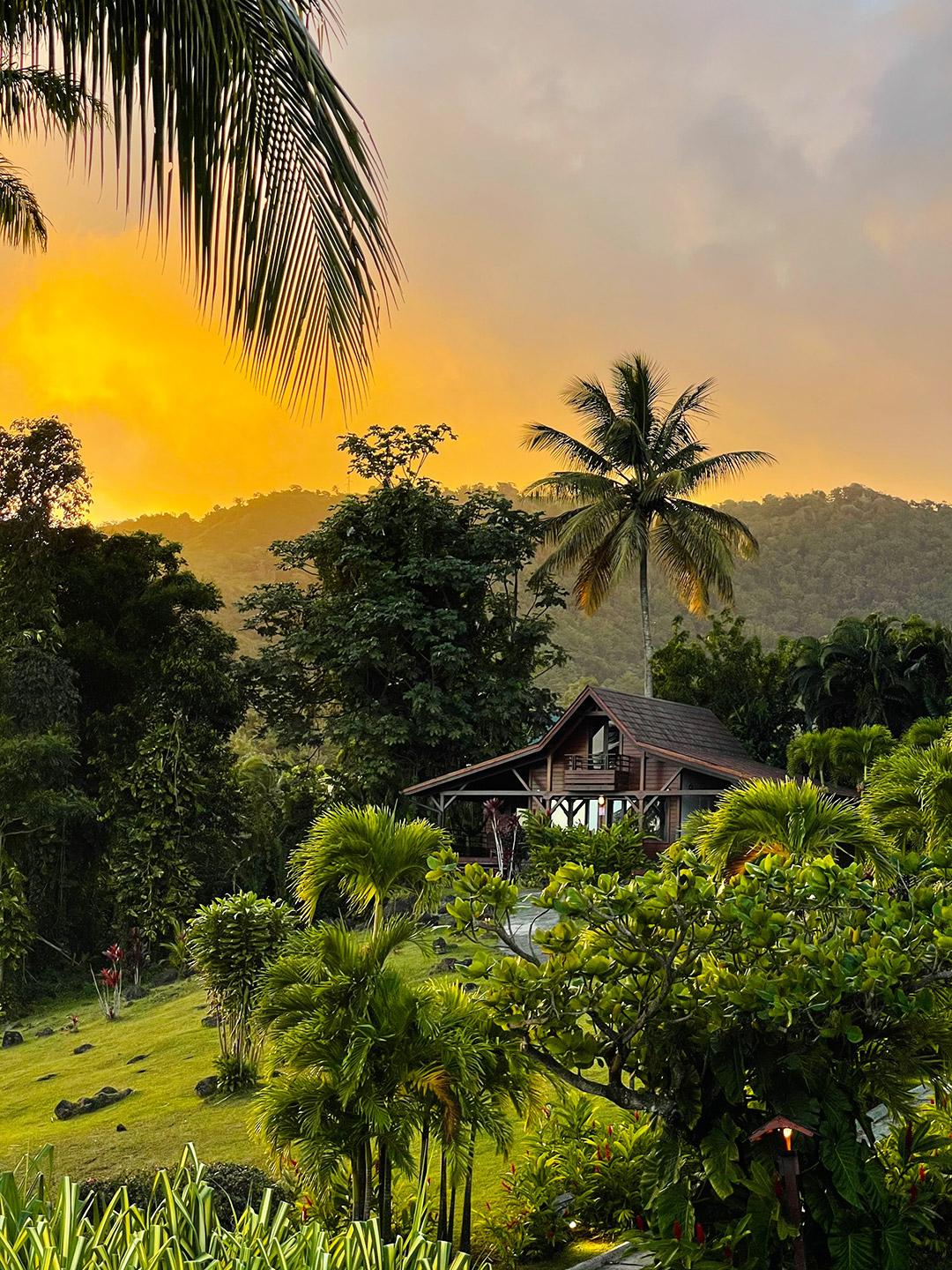 Jardin Malanga Hotel Basse-Terre Kültér fotó