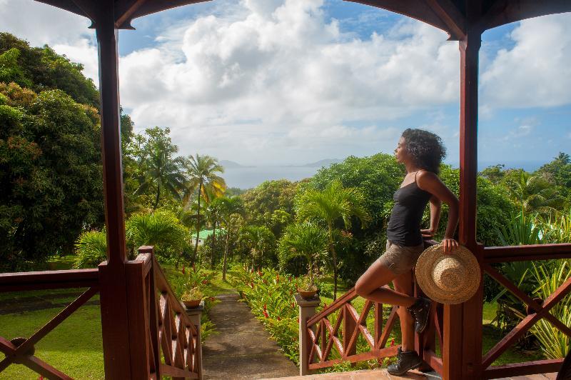 Jardin Malanga Hotel Basse-Terre Kültér fotó